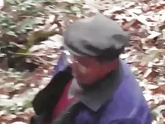 Skov-serien - skov vilde